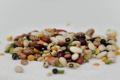 beans legumes protein