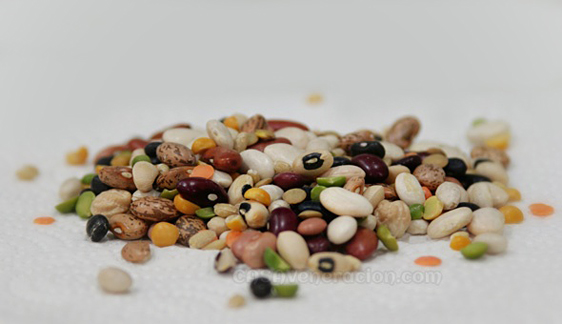 beans legumes protein