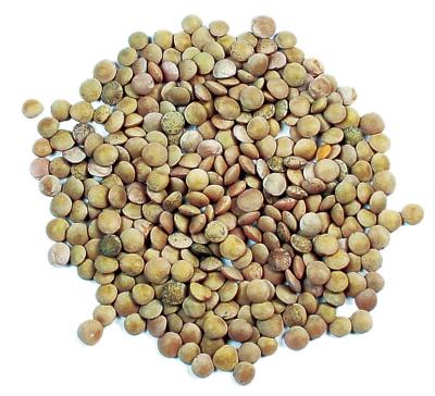 1 cup of cooked lentils provides 18g protein.